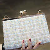 Woolen handbag versatile banquet dress bag dinner bag